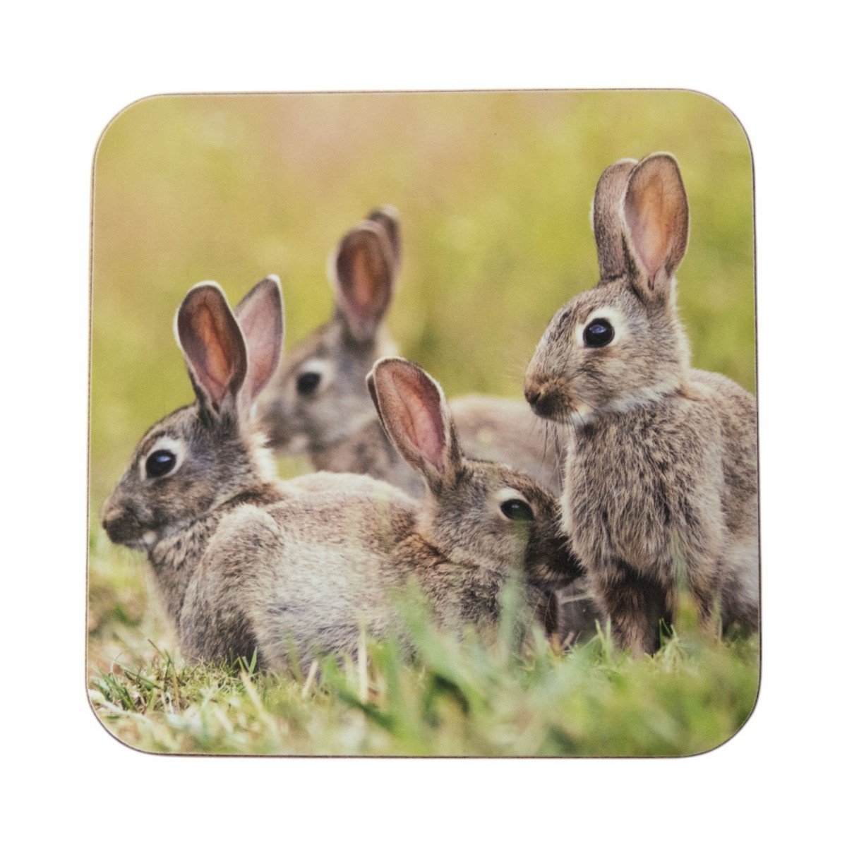 Onderzetter Konijnen familie 10x10cm (set van 6)