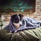 Cosy knuffeldeken voor honden