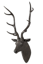J-Line Hangende hertenkop - polyresin - zwart
