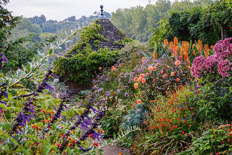 Ik droom van een cottage-tuin. Verliefd op delphiniums, phlox & vingerhoedskruid