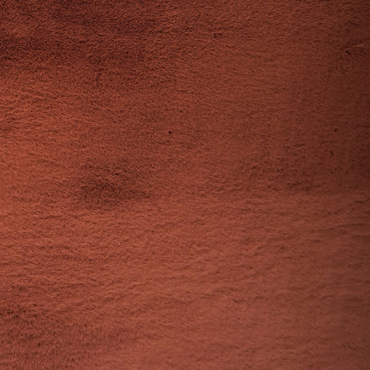 Vloerkleed Velluto Terra - 230 x 330 cm