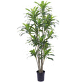Kunstboom Dracaena real touch 250cm