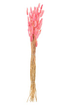 J-Line Bundel Hazenstaart Gedroogd Roze