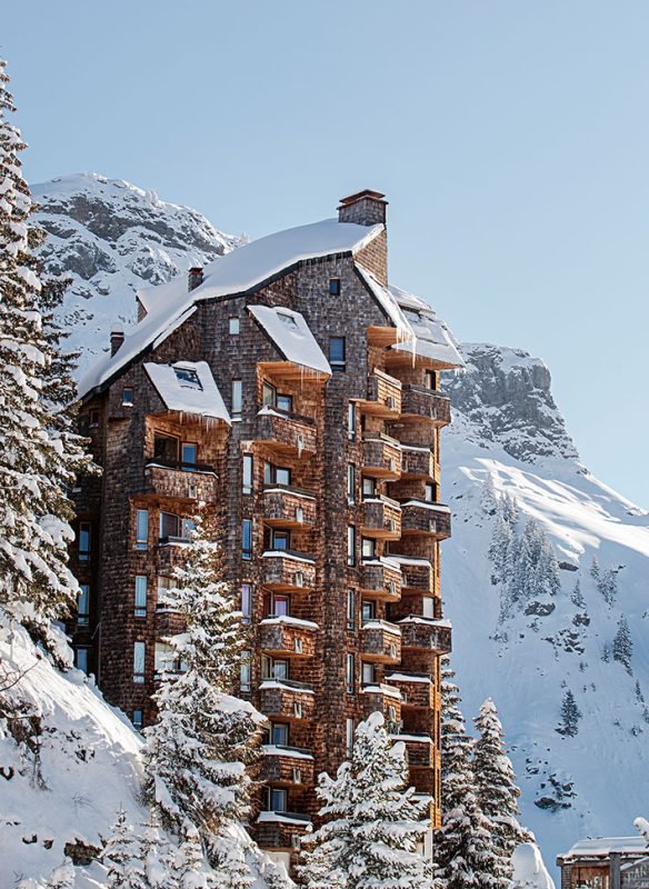 De kunst van het skiën (Engels)