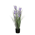 Gras campanula paars