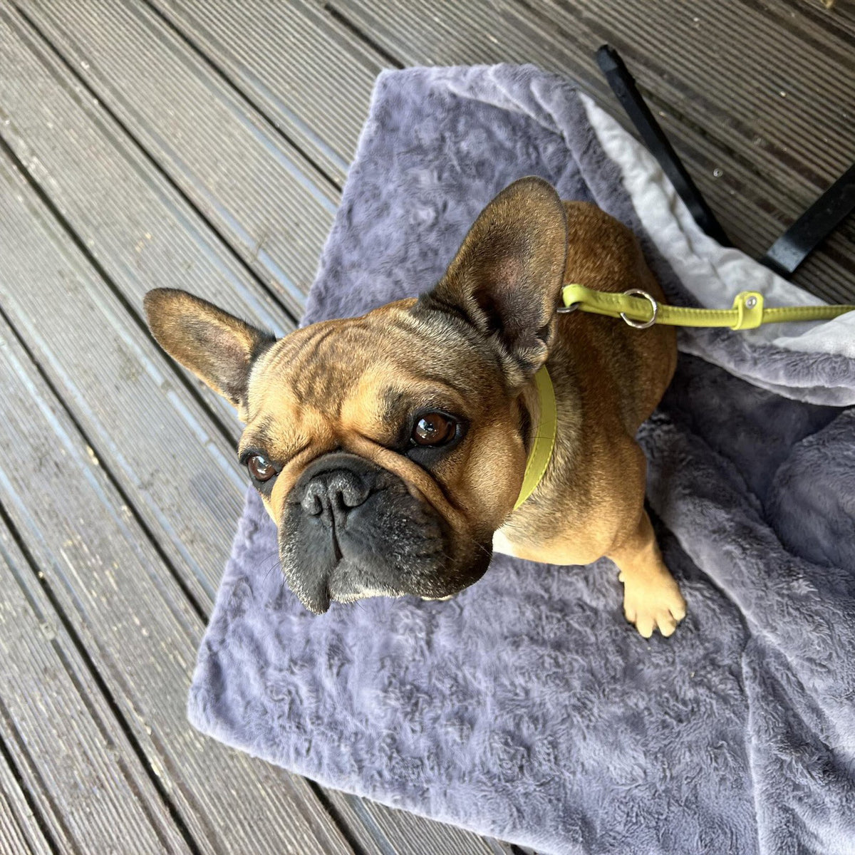 Cosy knuffeldeken voor honden