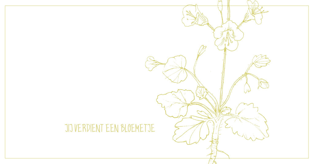 Cadeaudoosje Bedankje zaaien