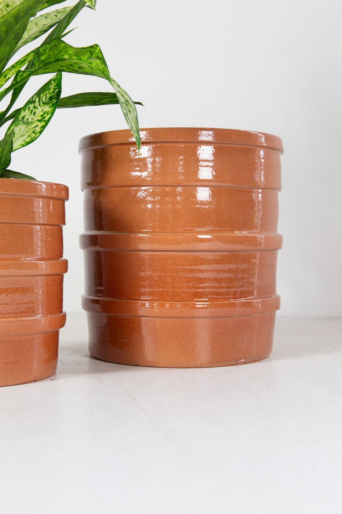 Bana pot sh bleke rosso