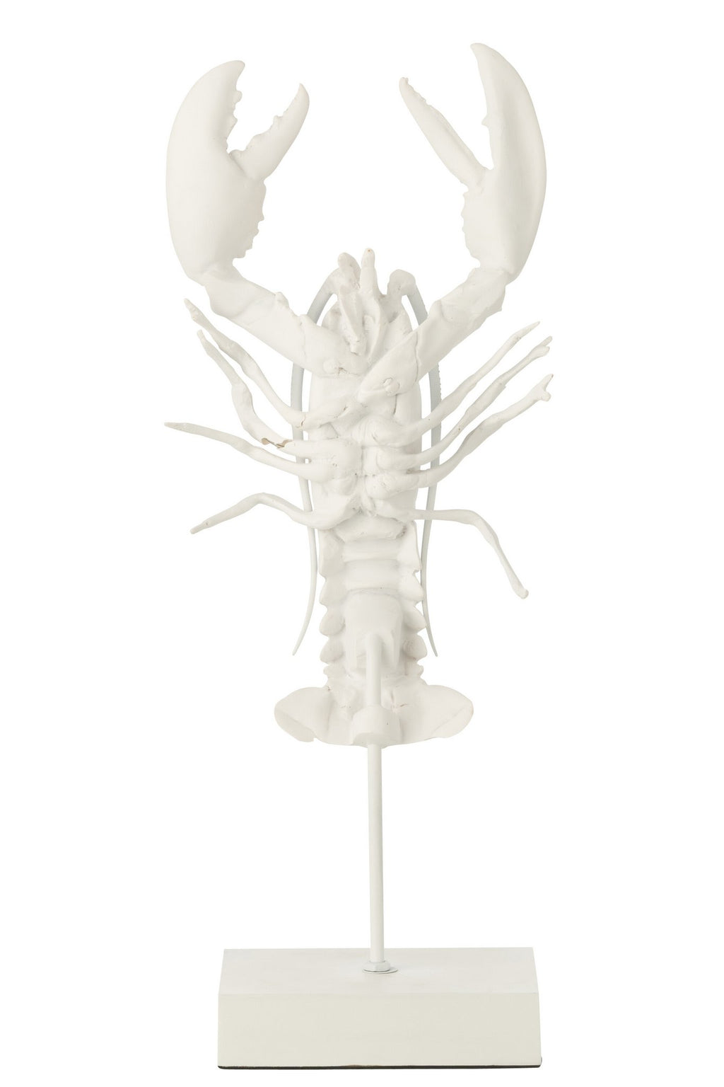 J-Line decoratie Kreeft Op Voet - polyresin - wit