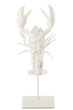 J-Line decoratie Kreeft Op Voet - polyresin - wit