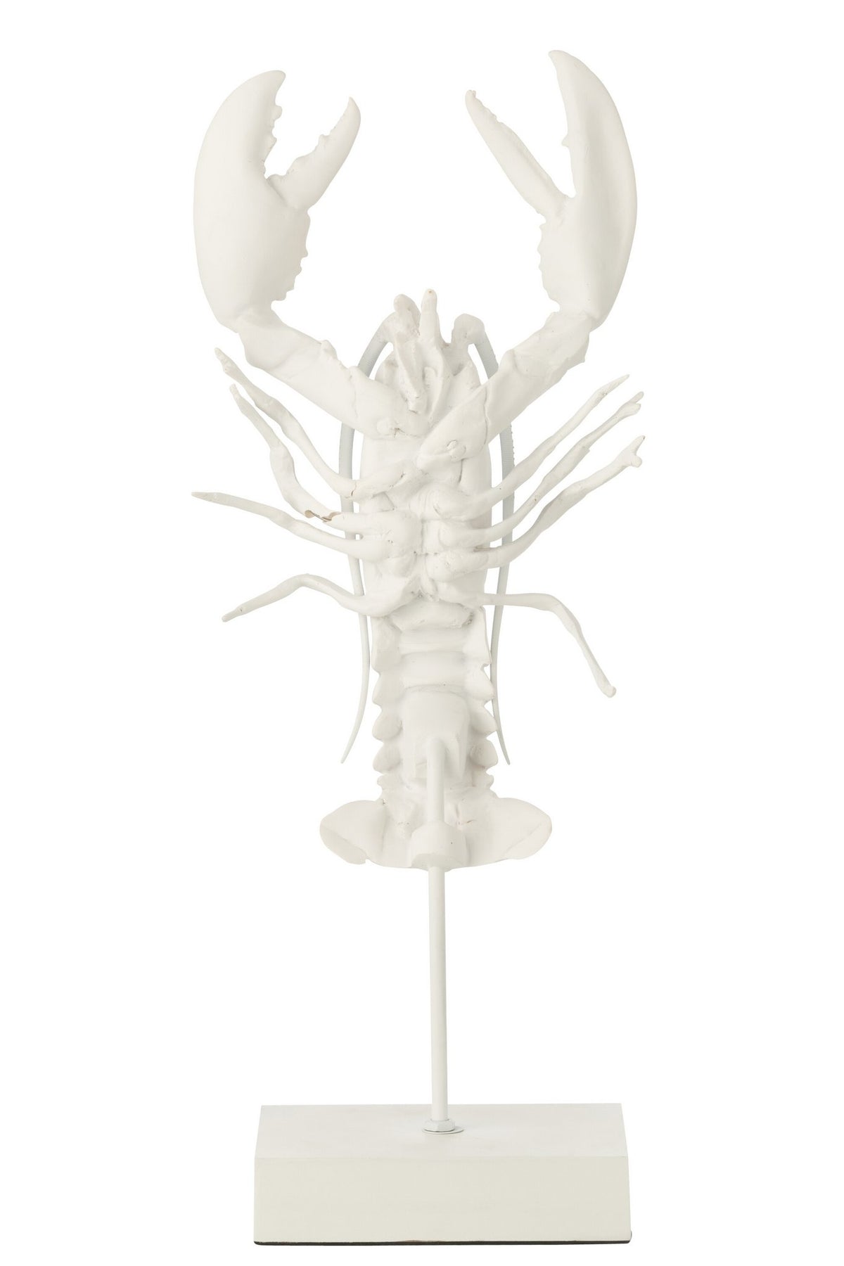 J-Line decoratie Kreeft Op Voet - polyresin - wit