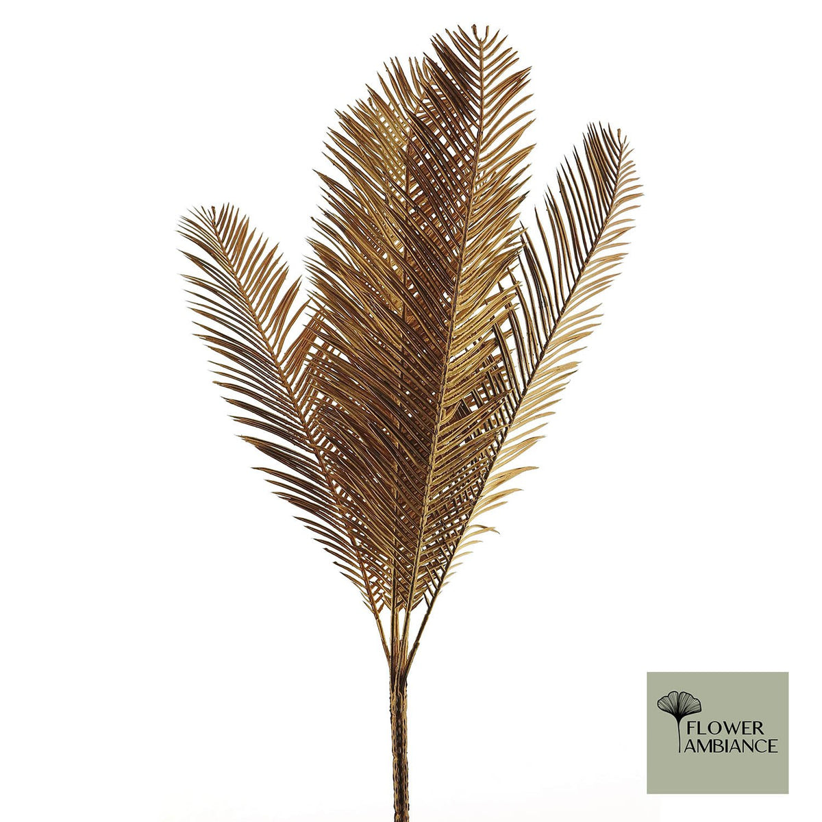 Palmstruik koper 57cm