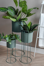 Plantenpotset Essence
