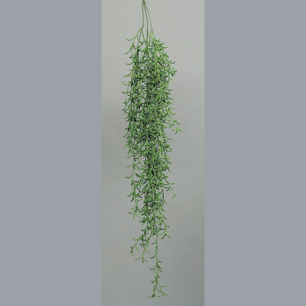 Succulentenhanger 105cm groen