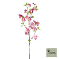 Kersenbloesem Phayao beauty 88cm