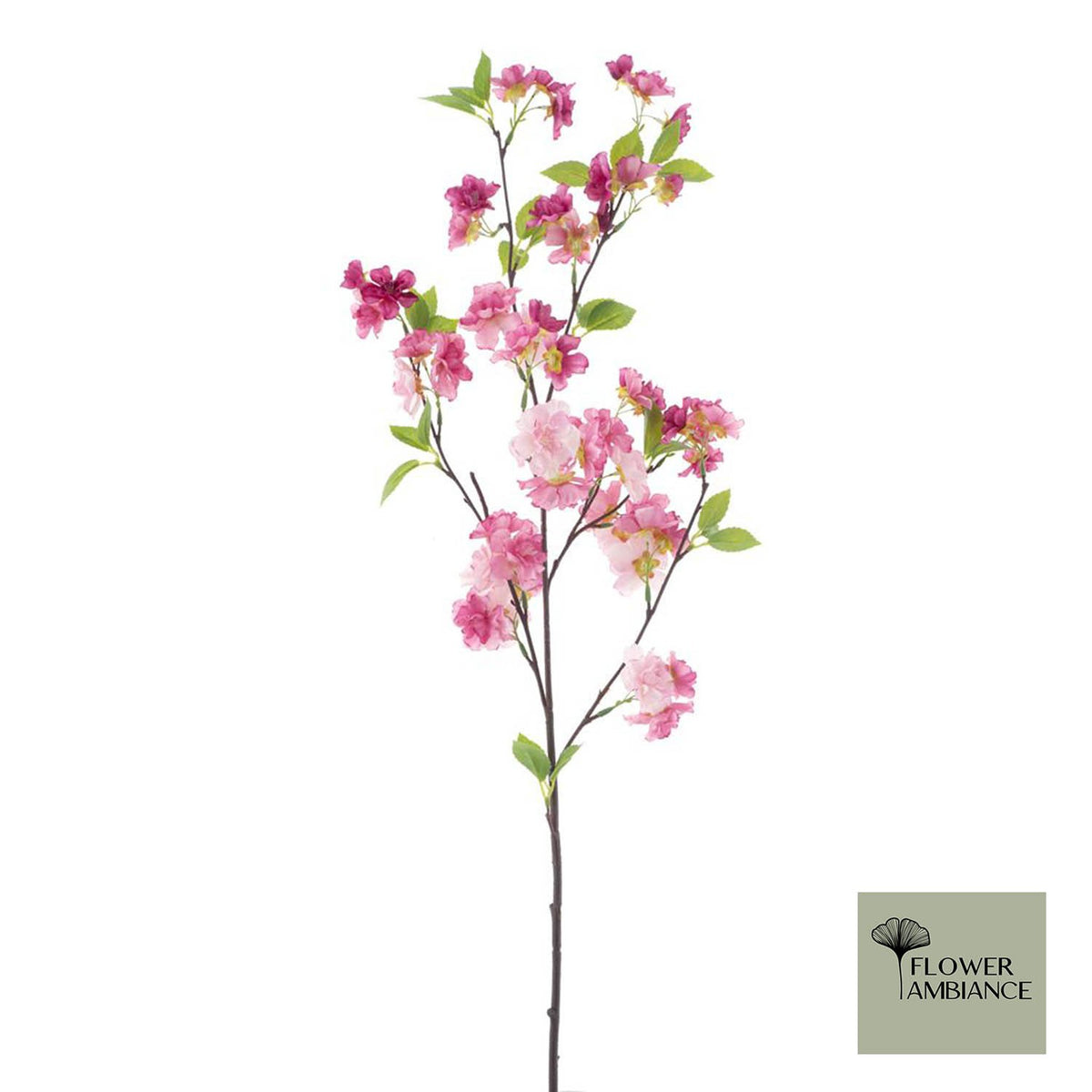 Kersenbloesem Phayao beauty 88cm