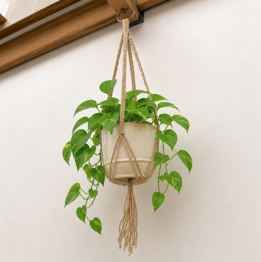 Luna-Leena plantenhanger macrame jute & zilver - handgemaakt in Nepal
