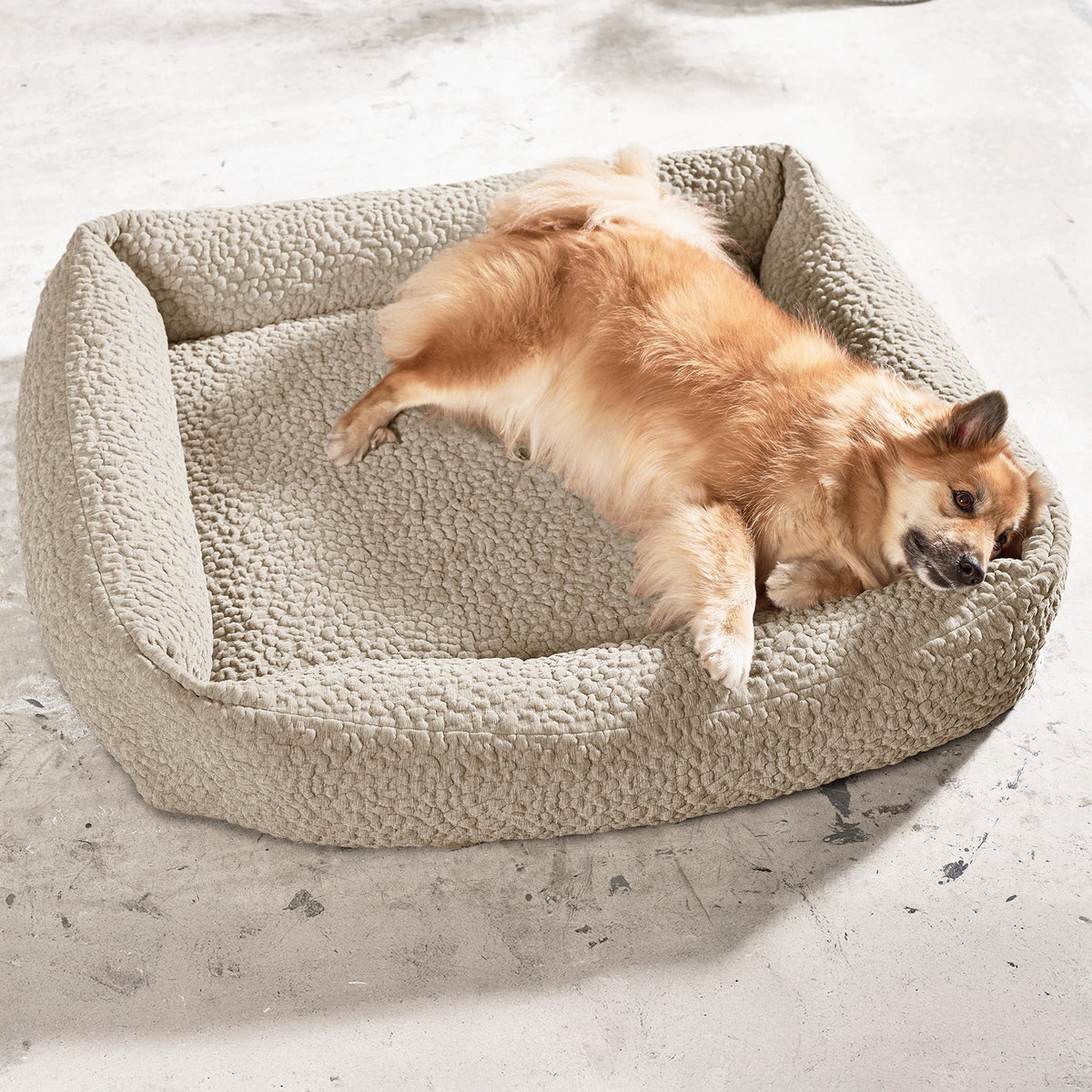 Bellagio Ortho | Premium orthopedisch hondenbed