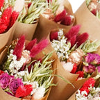 Gedroogde bloemen - Markt Meer - Red Allure
