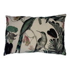 Groot kussen fluweel exotisch honing vogel 40x60cm