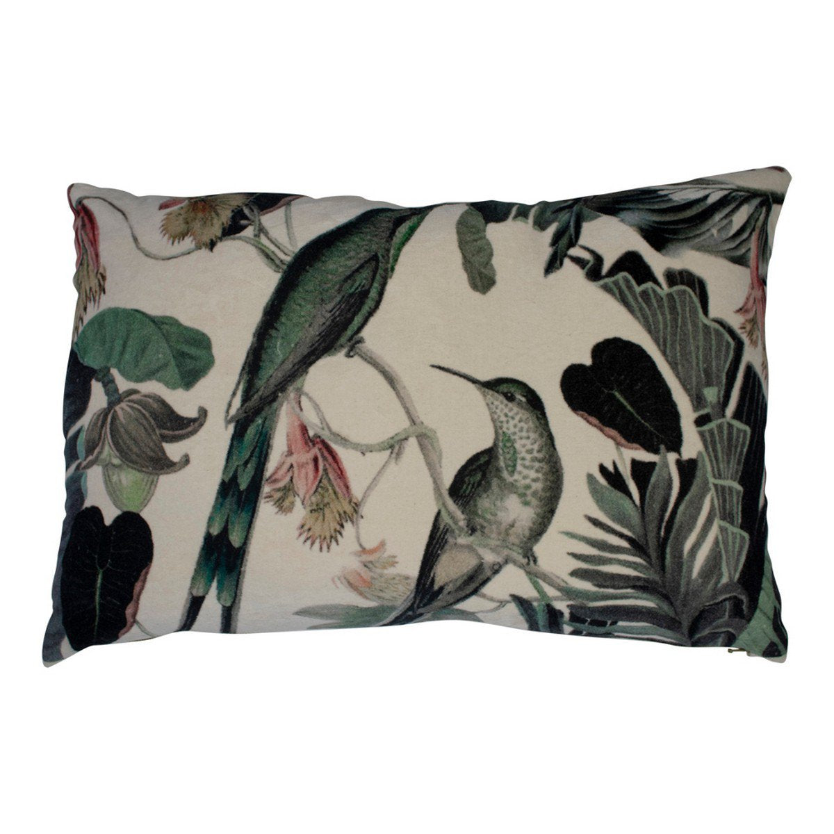 Groot kussen fluweel exotisch honing vogel 40x60cm