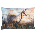 Groot kussen fluweel gems 40x60cm*