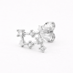 Dierenriem Stud Oorbellen