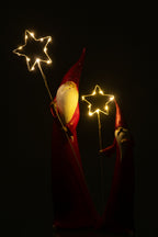 J-Line figuur Kerstman Ster - polyresin - wit/rood - 2 stuks - LED