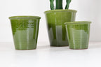 Hushpot sh groen