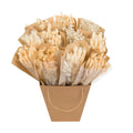 Gedroogde bloemen Mono Bunches - Wit