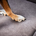 Buffel Ortho | Premium orthopedisch hondenbed