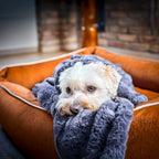 Cosy knuffeldeken voor honden