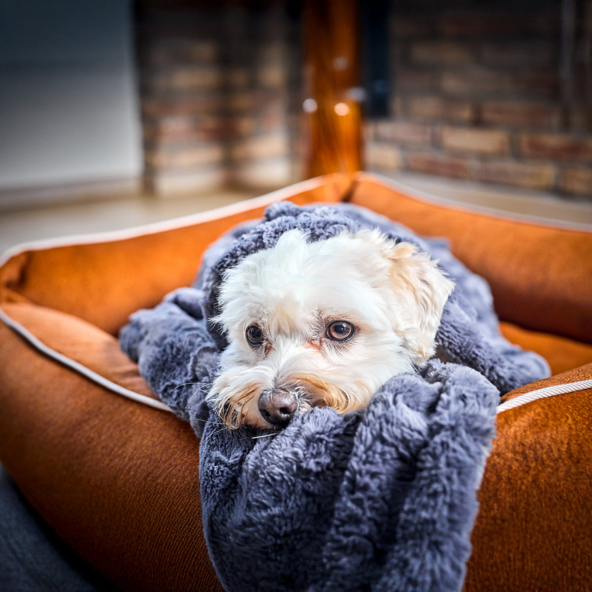 Cosy knuffeldeken voor honden