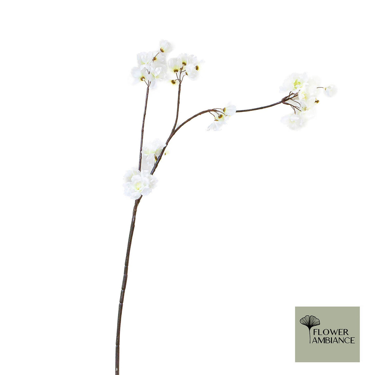 Prunus malaga tros wit 84cm