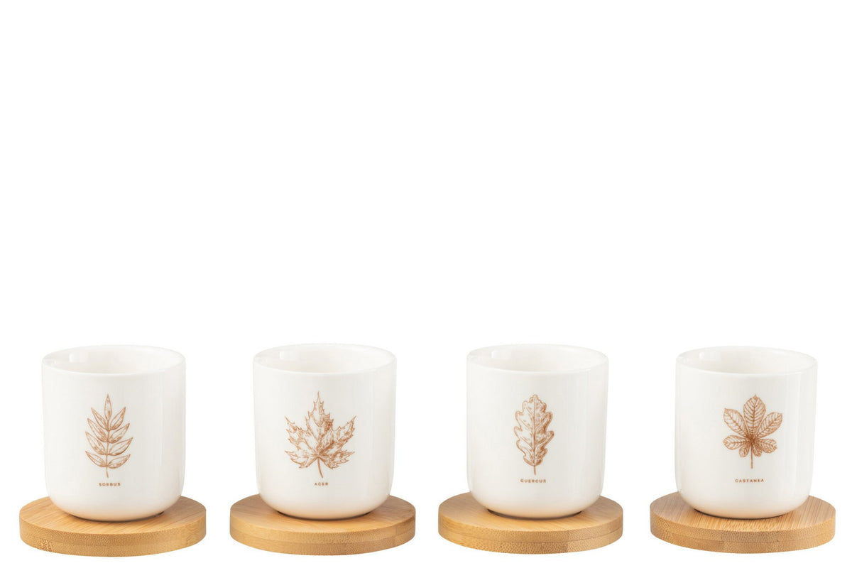 J-Line koffietas + schotel - giftbox - keramiek - bruin - doos van 4