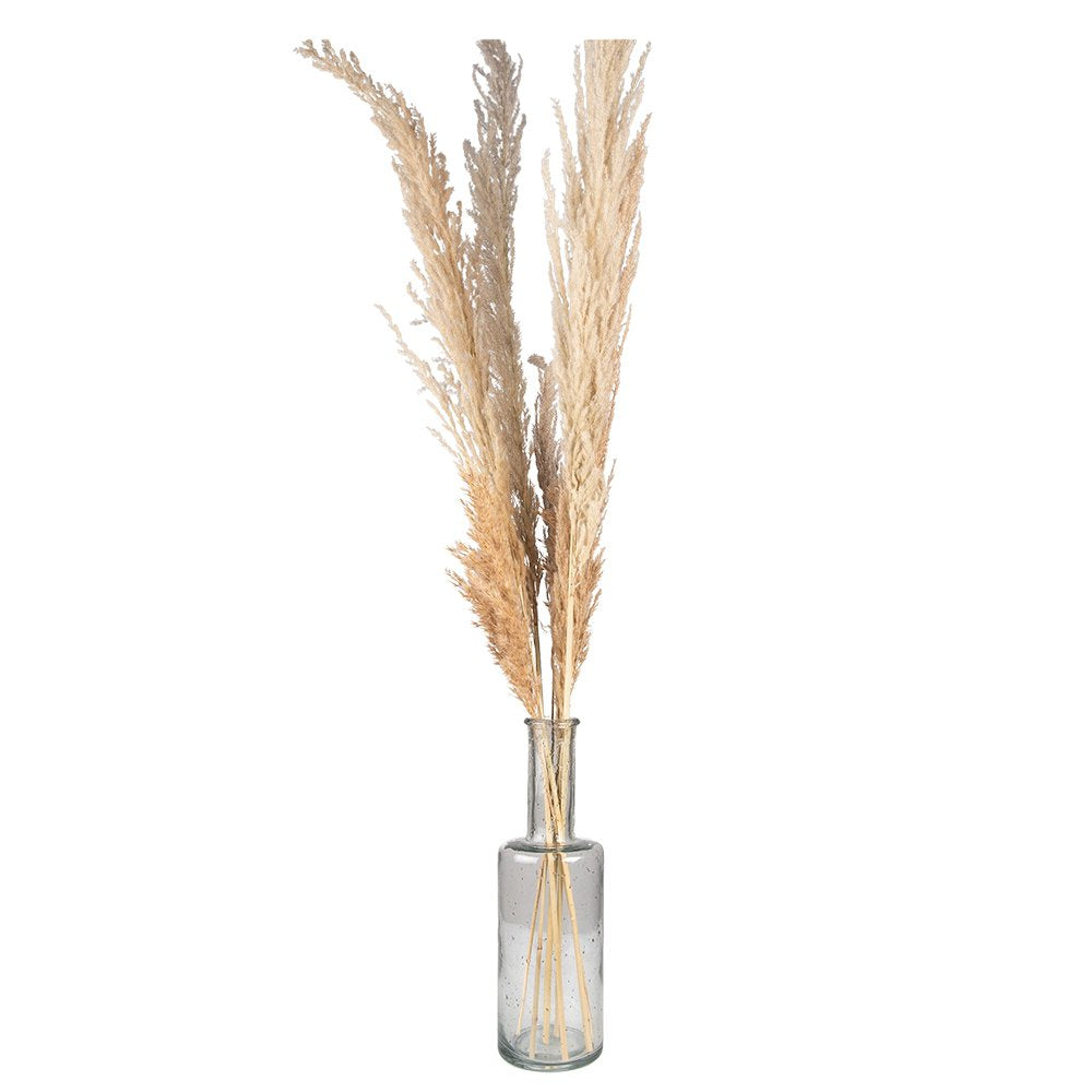 Vaas Ø 11x34 cm Glas Glazen Vaas