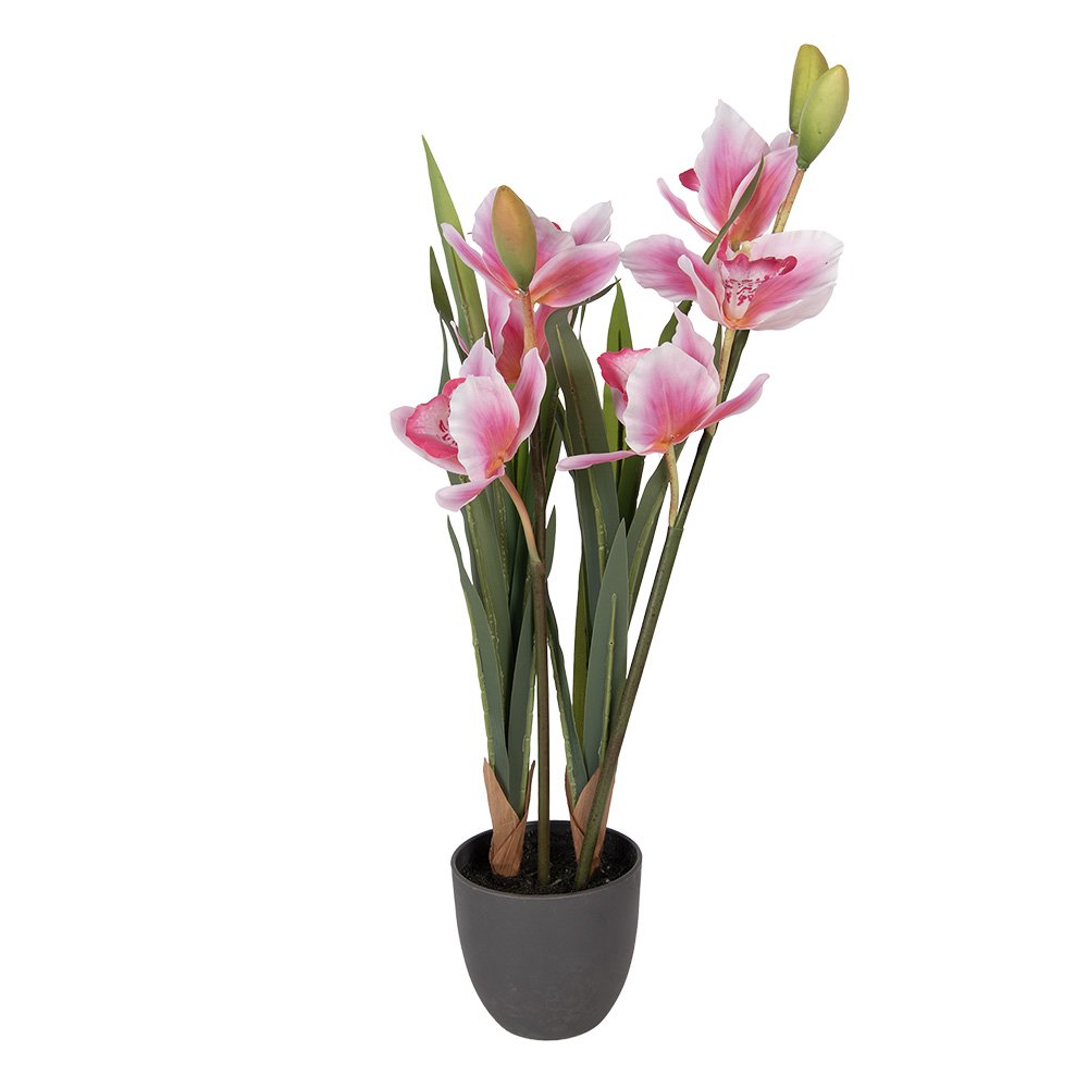 Kunstplant 14x14x55 cm Roze Kunststof