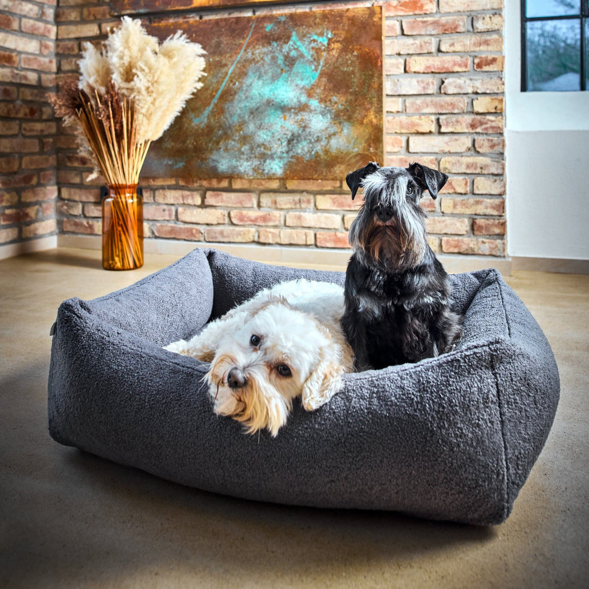 Teddy Ortho | Premium orthopedisch hondenbed