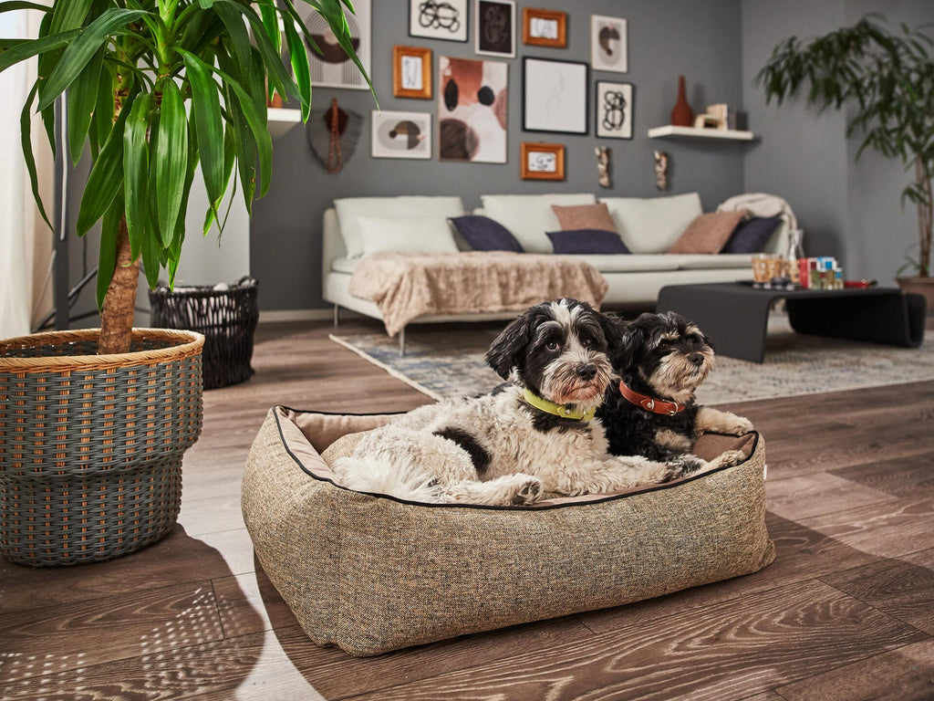 Scala Klassieke Hundebett