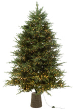 J-Line Kerstboom 3000Led Lichtjes Plastiek Groen