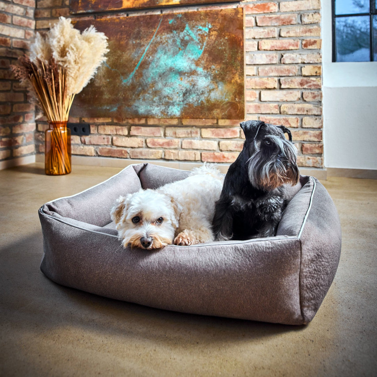 Buffel Ortho | Premium orthopedisch hondenbed