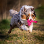 Franzi Flamingo - cultspeelgoed voor honden