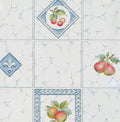 Fruit Zelfklevende Folie Mini rol multi 45cmx2mtr