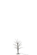 J-Line decoratie Kerstboom Kaal - metaal - zwart - small - LED