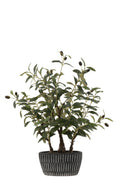 J-Line olijfboom in cement pot - kunststof - groen
