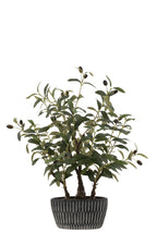 J-Line olijfboom in cement pot - kunststof - groen