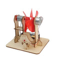 Bouwpakket DIY Windgedreven Energiegenerator- Science Kit