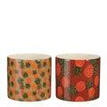 Pot rond geel roze 2 assorti