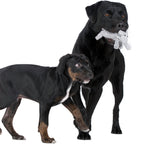 Pannenlappen Feline - set of 2