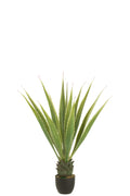 J-Line Agave Gebroken Wit Kunstmatig Groen